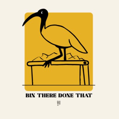 Bin there Design